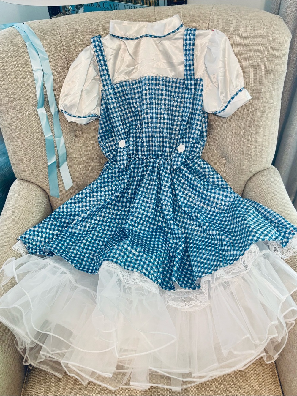 Wizard of Oz Blue Gingham Girls' Pinafore Costume with White Puff Sleeve Blouse